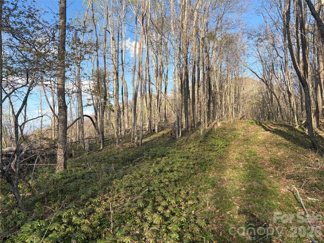 000 Catbrier Lane, Burnsville, NC 28714