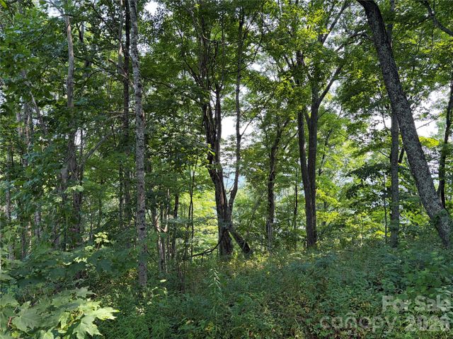 000 Catbrier Lane, Burnsville, NC 28714