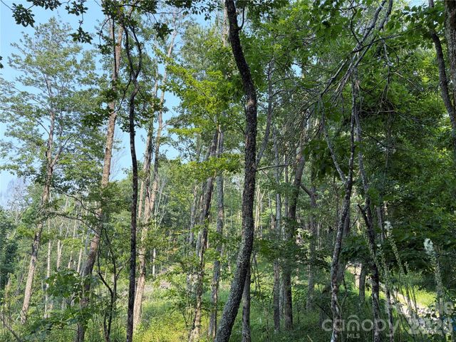 000 Catbrier Lane, Burnsville, NC 28714