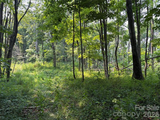 000 Catbrier Lane, Burnsville, NC 28714