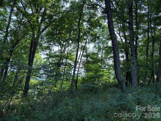 000 Catbrier Lane, Burnsville, NC 28714