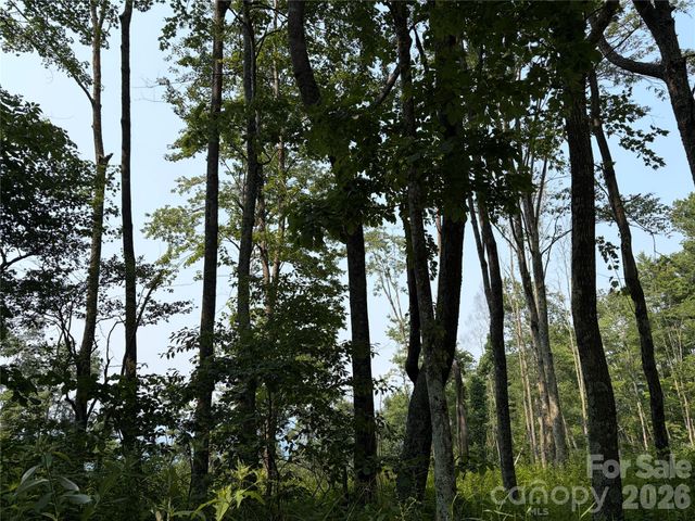000 Catbrier Lane, Burnsville, NC 28714