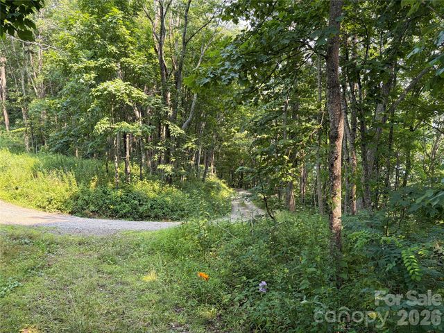 000 Catbrier Lane, Burnsville, NC 28714
