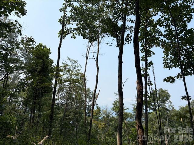 000 Catbrier Lane, Burnsville, NC 28714