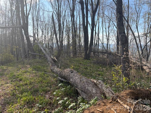 000 Catbrier Lane, Burnsville, NC 28714
