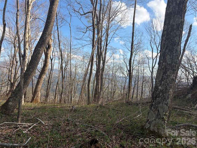 000 Catbrier Lane, Burnsville, NC 28714