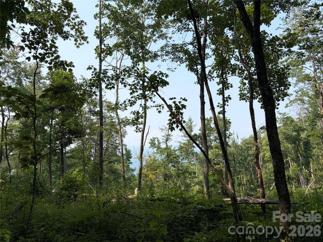 000 Catbrier Lane, Burnsville, NC 28714