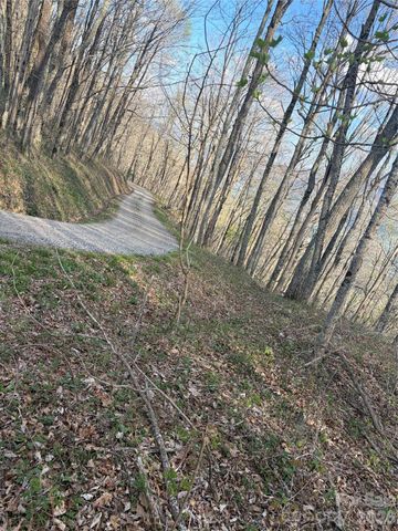 000 Catbrier Lane, Burnsville, NC 28714
