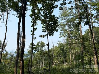 000 Catbrier Lane, Burnsville, NC 28714