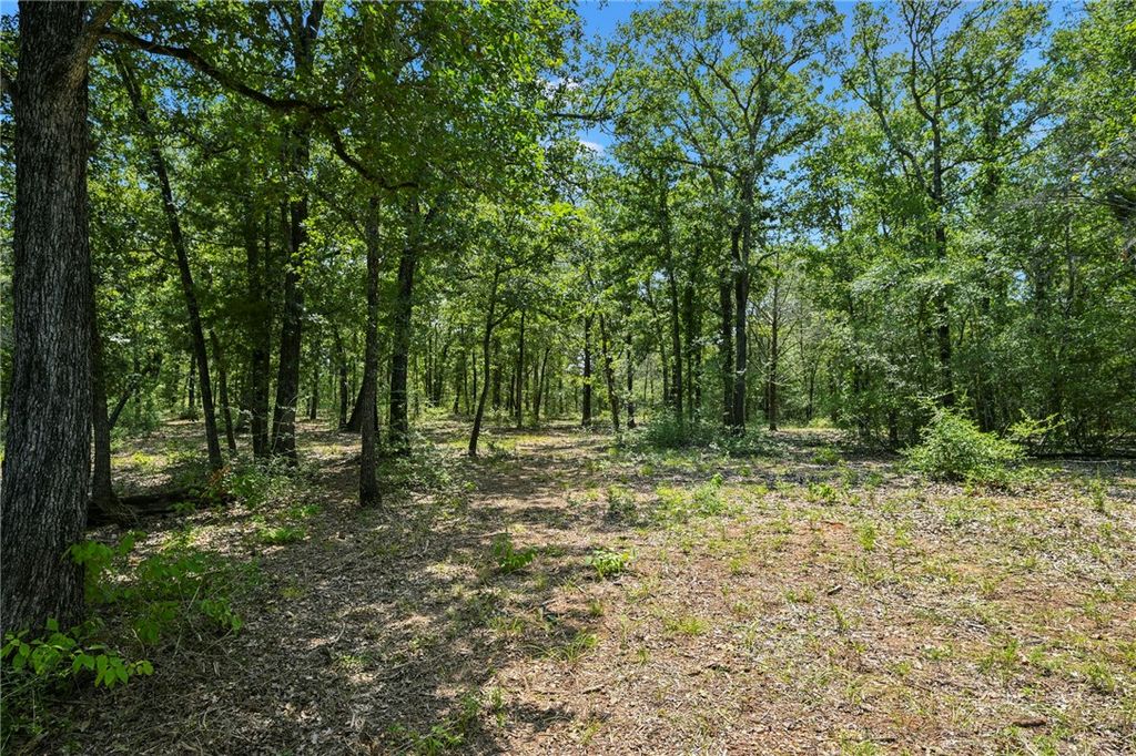 13849 Ferrill Creek Road, Bryan, TX 77808 — photo 5