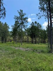 8576 Us-190 W, Livingston, TX 77351