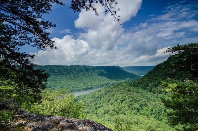 105 Riverpoint Road, Signal Mountain, TN 37377