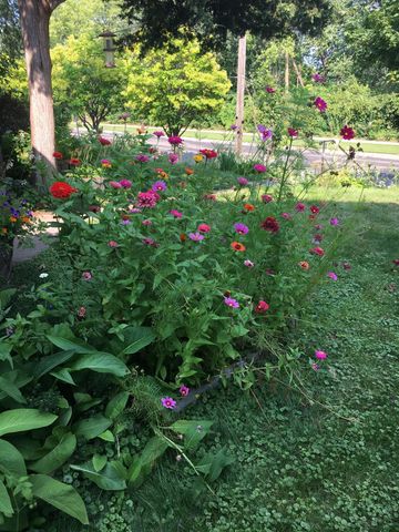 1369 Hamline Avenue N, Saint Paul, MN 55108