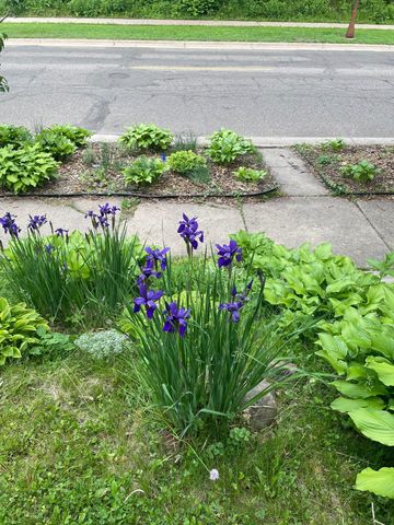 1369 Hamline Avenue N, Saint Paul, MN 55108