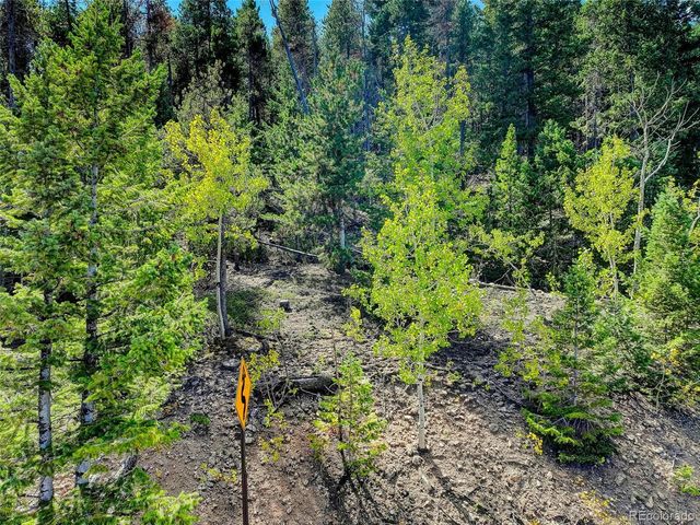 11956 Coal Creek Heights Drive, Golden, CO 80403