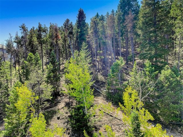 11956 Coal Creek Heights Drive, Golden, CO 80403