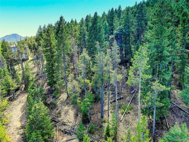 11956 Coal Creek Heights Drive, Golden, CO 80403