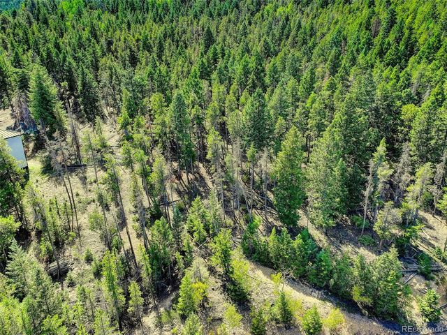 11956 Coal Creek Heights Drive, Golden, CO 80403