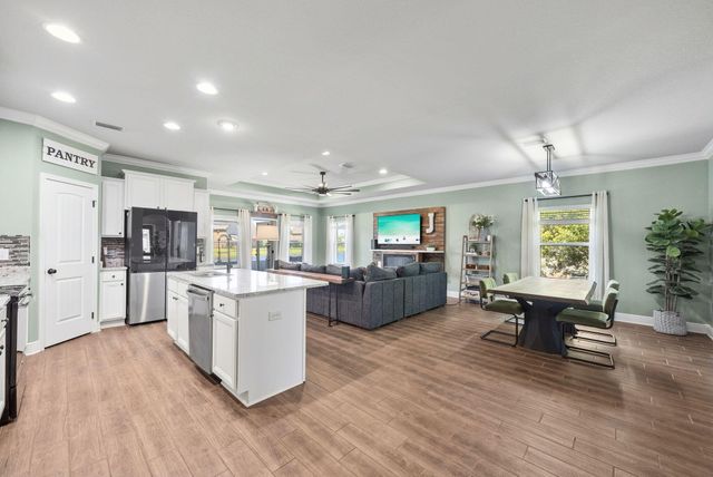377 Cocobolo Drive, Santa Rosa Beach, FL 32459