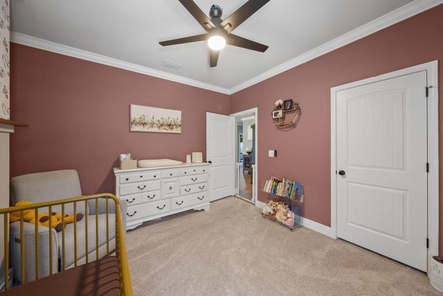 377 Cocobolo Drive, Santa Rosa Beach, FL 32459