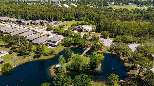 377 Cocobolo Drive, Santa Rosa Beach, FL 32459