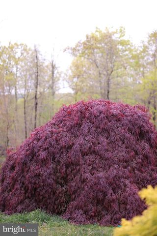 4752 GREENE LOVE LN, Marshall, VA 20115