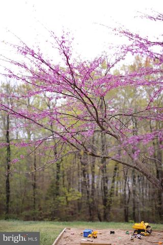 4752 GREENE LOVE LN, Marshall, VA 20115