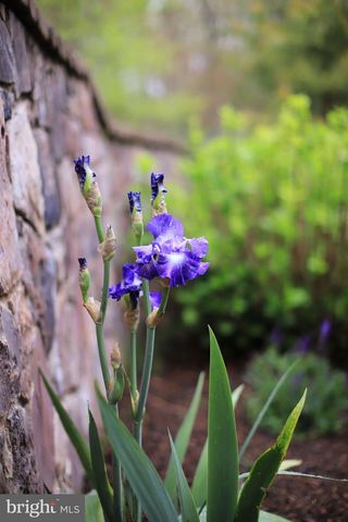 4752 GREENE LOVE LN, Marshall, VA 20115