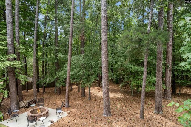 324 Daylily Drive, Lexington, SC 29072