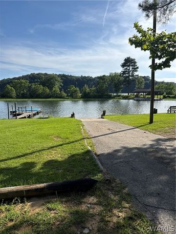 15338 Tierce Lake Rd, Northport, AL 35475