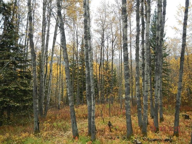 4145 OLD WOOD ROAD, Fairbanks, AK 99709