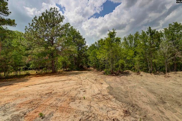 4134 Fish Hatchery Road, Gaston, SC 29053