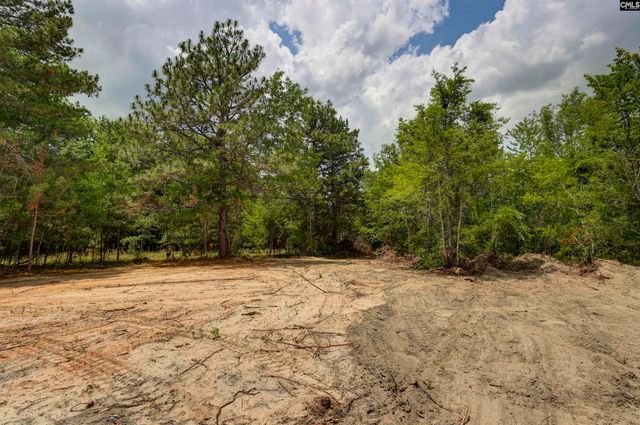 4134 Fish Hatchery Road, Gaston, SC 29053