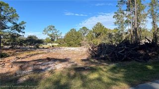 1028 Mimosa Street, Lake Placid, FL 33852