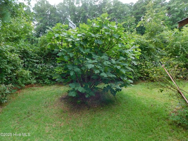 1010 W Scotsdale Road, Laurinburg, NC 28352