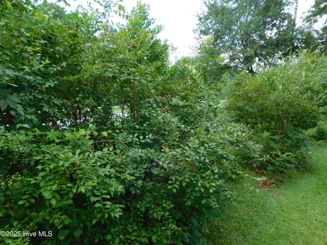 1010 W Scotsdale Road, Laurinburg, NC 28352