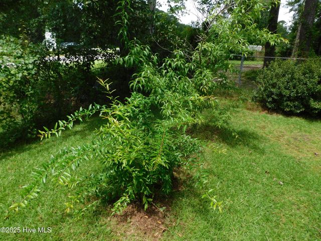 1010 W Scotsdale Road, Laurinburg, NC 28352