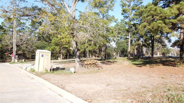 16710 Falcon Point Drive, Montgomery, TX 77356