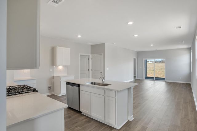 6623 Japonica Lane, White House, TN 37188