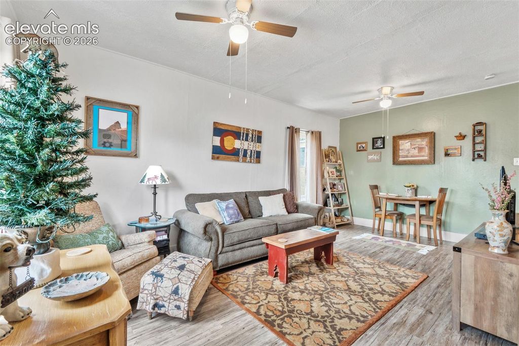 331 E Golden Avenue, Cripple Creek, CO 80813 — photo 4