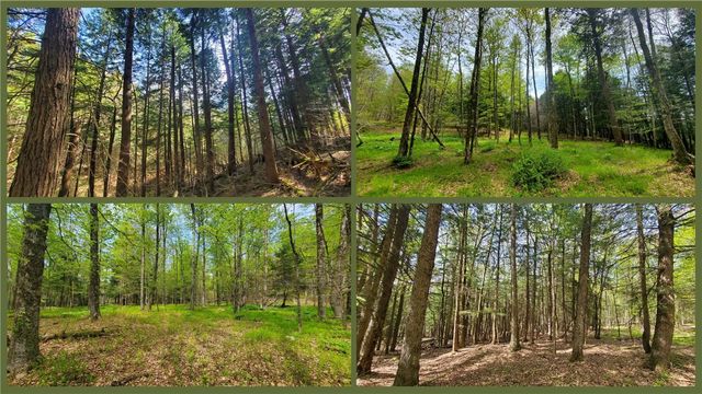 205 Sullivan Road, Laurens, NY 13810