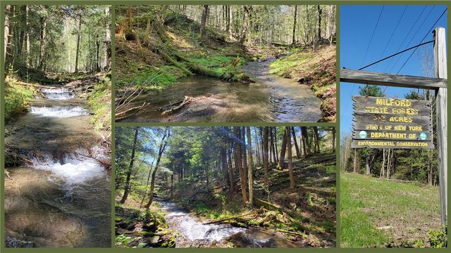 205 Sullivan Road, Laurens, NY 13810