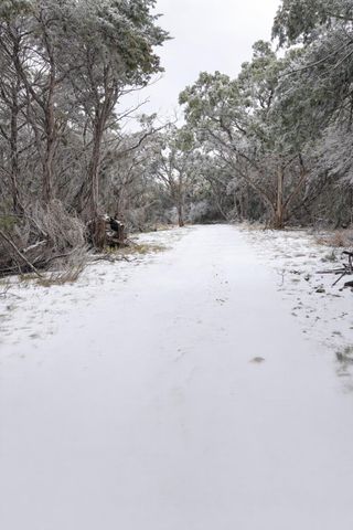 4314 County Road 108, Burnet, TX 78611