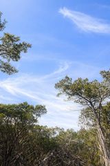 4314 County Road 108, Burnet, TX 78611