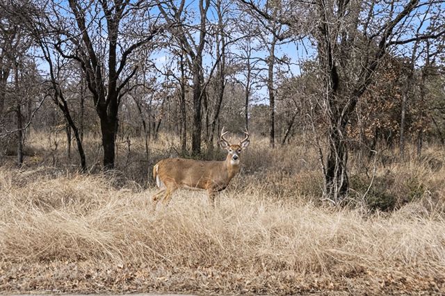 10500 Estancia Court, Fort Worth, TX 76108