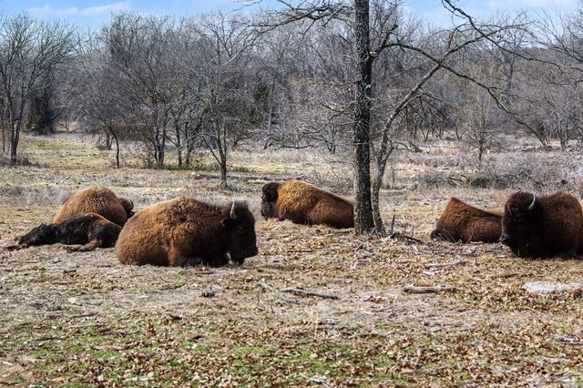 10500 Estancia Court, Fort Worth, TX 76108