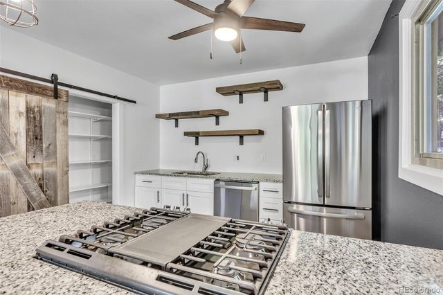 2180 Clear Creek Drive, Georgetown, CO 80444