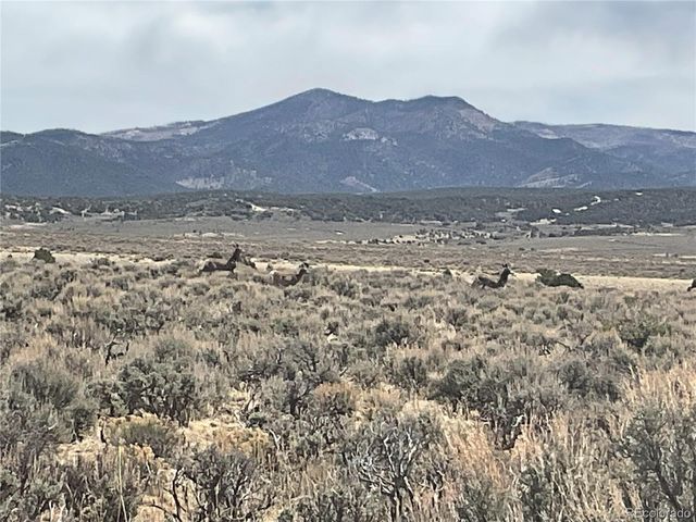 Lot 2923 Patterson Rd., Fort Garland, CO 81133