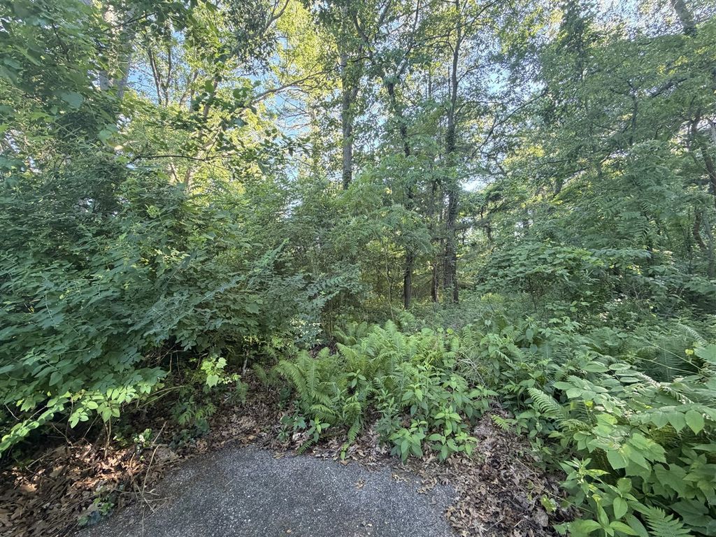 6034 River Ridge Court, Hamilton, MI 49419