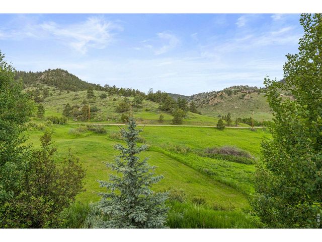228 Mount Everest Dr, Livermore, CO 80536